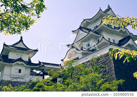 日本名城100選 伊賀上野城 105900550