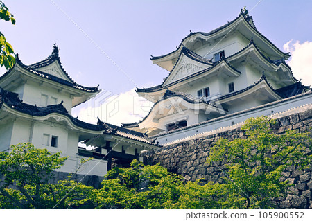 Japan's Top 100 Castles, Iga Ueno Castle 105900552
