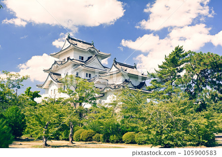 Japan's Top 100 Castles, Iga Ueno Castle Japan's Top 100 Castles, Iga Ueno Castle 105900583