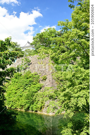日本名城100選 伊賀上野城 日本名城100選 伊賀上野城 105900604