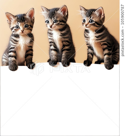 漂亮的小貓 105900787