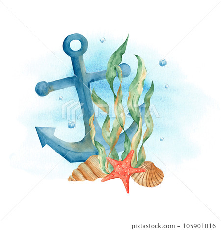 Underwater composition of seaweeds, red starfish, seashells and blue nautical anchor on watercolor splash. Watercolor marine illustration. For cards, posters, menu, marine beach design. 105901016