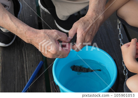 Fish caught 105901053