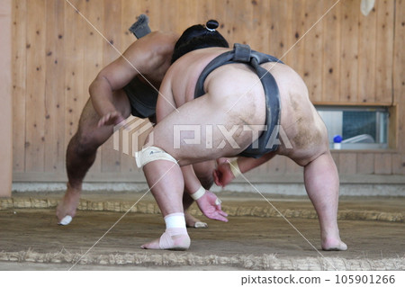 Sumo Grand Sumo wrestler 105901266