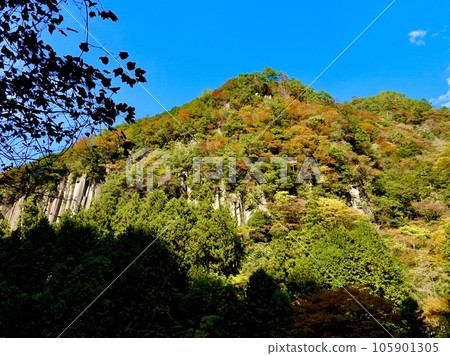 A view of the Koochi Valley in autumn colors from the Nabari Soni Prefectural Road, Soni Village, Uda County, Nara Prefecture A view of the Koochi Valley in autumn colors from the Nabari Soni Prefectural Road, Soni Village, Uda County, Nara Prefecture 105901305