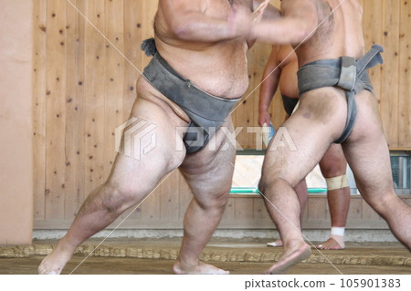 Sumo Grand Sumo wrestler Sumo Grand Sumo wrestler 105901383