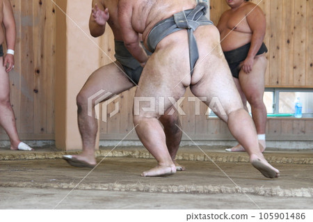 Sumo Grand Sumo wrestler Sumo Grand Sumo wrestler 105901486