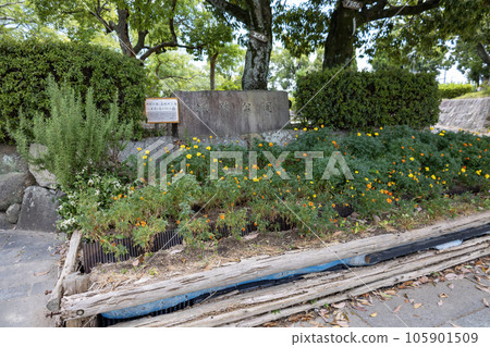 大阪府高槻市/高槻城公園石碑上刻著的舊公園名(2023年8月6日拍攝) 大阪府高槻市/高槻城公園石碑上刻著的舊公園名(2023年8月6日拍攝) 105901509