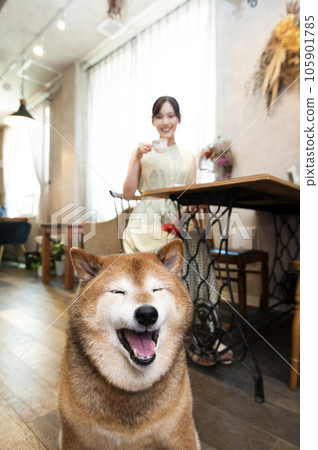 碼頭咖啡館年輕女子柴犬閉著眼睛 碼頭咖啡館年輕女子柴犬閉著眼睛 105901785