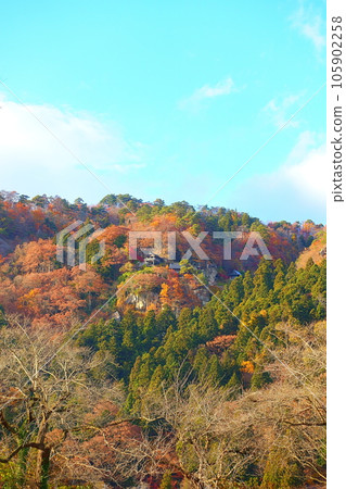 Tateishi Temple Yamadera Autumn Leaves Yellow Leaves Tateishi Temple Yamadera Autumn Leaves Yellow Leaves 105902258