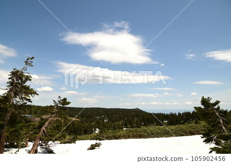 Scenery around Hachiman-numa 105902456