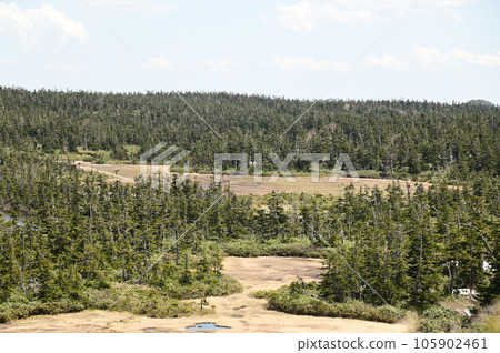 八幡沼周邊風景 八幡沼周邊風景 105902461