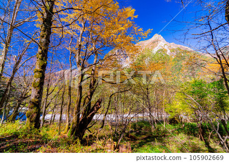 [秋季材料]錦州上高地/徒步風景[長野縣] 105902669
