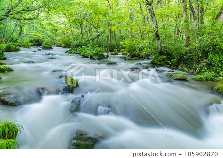 “青森縣”夏季，奧入瀨溪流穿過清新的綠色森林 105902870