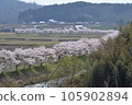 三好市三和町「三和町三原川千櫻」 105902894