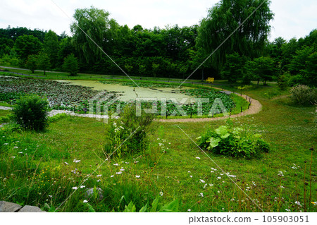 Hokkaido Tokachi Hills 105903051