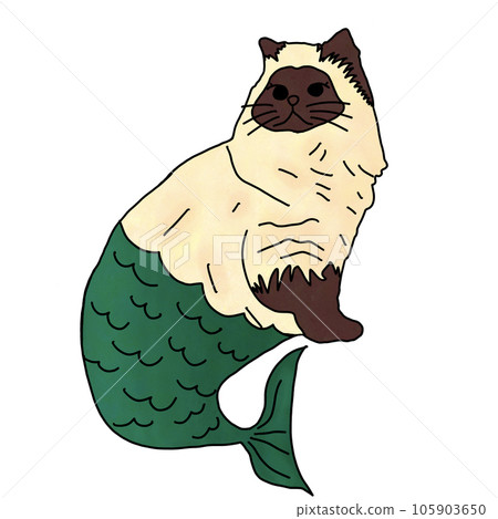 vector of cat vector of cat 105903650