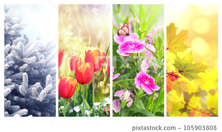 Vertical banners with winter spring summer autumn Vector Image