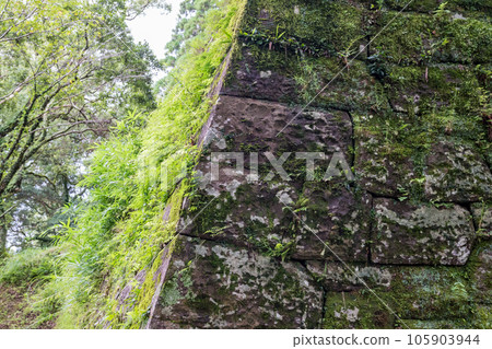 Scenery of moss and cedars at the ruins of Obi Castle Scenery of moss and cedars at the ruins of Obi Castle 105903944