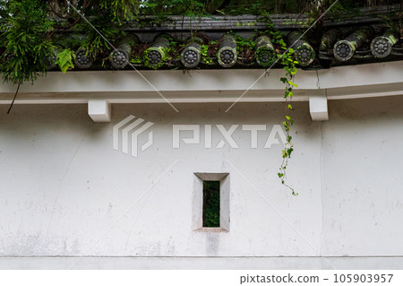 大肥城蹟的苔蘚和杉木風景 大肥城蹟的苔蘚和杉木風景 105903957