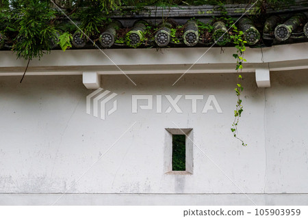 大肥城蹟的苔蘚和杉木風景 105903959