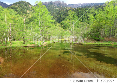 Kamikochi Tashiroike 105904097