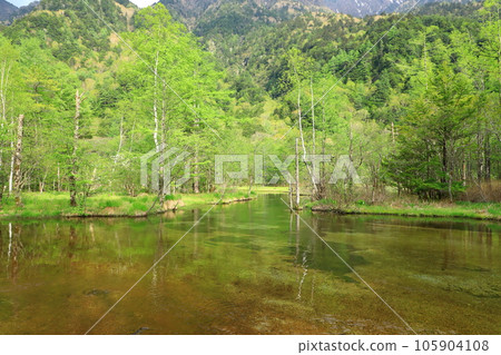 Kamikochi Tashiroike 105904108