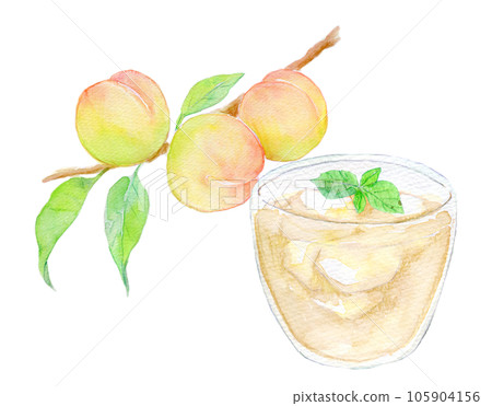 Watercolor illustration, plum juice, plum fruit Watercolor illustration, plum juice, plum fruit 105904156