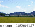 Suburban train running through rural scenery 105904187