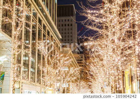 [Urban scenery of Tokyo] Marunouchi illumination 105904242