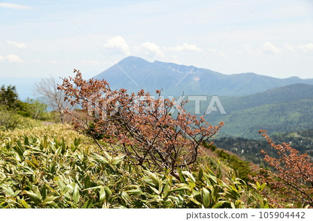 Mount Iwate seen from Hachimantai 105904442