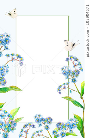 Field forget-me-not watercolor rectangle frame from delicate flowers and butterflies hand-drawn on light-blue background. Meadow wildflowers botany painting with white center for invitations, sticker Field forget-me-not watercolor rectangle frame from delicate flowers and butterflies hand-drawn on light-blue background. Meadow wildflowers botany painting with white center for invitations, sticker 105904571