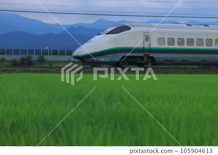 Series E3 “Tsubasa (Revival Color)” running through the moist summer of Yamagata_2023/7/18 105904613
