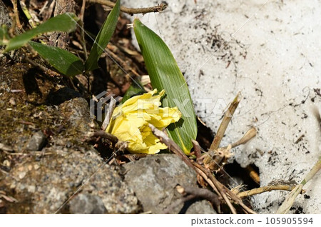 八幡平工廠 吹之登 八幡平工廠 吹之登 105905594