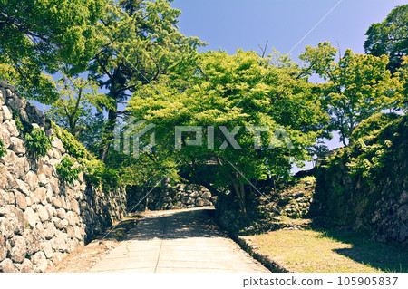 日本城百選 松坂城 105905837