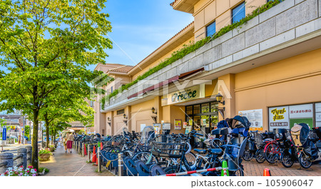 Cityscape of Ota Ward, Tokyo Denenchofu Station 105906047