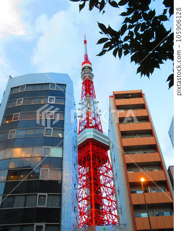 東京塔高聳於建築物之間 105906128