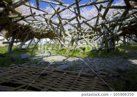 琵琶湖上漂浮的孤島衝島的休息處“龍寶小屋”/日本遺產 琵琶湖上漂浮的孤島衝島的休息處“龍寶小屋”/日本遺產 105906350