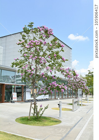 Shizuoka City Museum of History Shizuoka City Museum of History 105906417