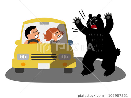 People who are surprised to see a bear appear while driving People who are surprised to see a bear appear while driving 105907261