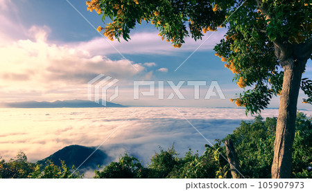 Beautiful of cloud sky colorful sunrise and view mist moving on mountain 105907973