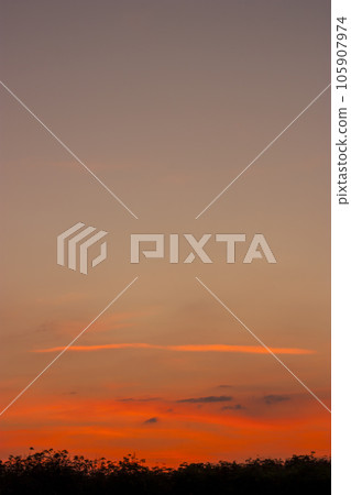 Trend color background Trend color background 105907974