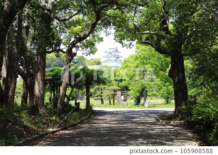 Hyogo Prefectural Akashi Park (Akashi City, Hyogo Prefecture) 105908588