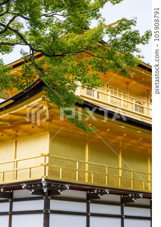 Fresh green scenery of Kyoto Fresh green scenery of Kyoto 105908791