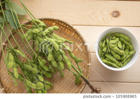 夏季美味的毛豆 夏季美味的毛豆 105908965