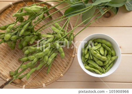 夏季美味的毛豆 105908966