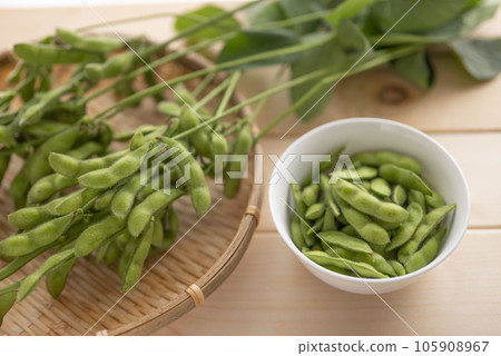 夏季美味的毛豆 夏季美味的毛豆 105908967