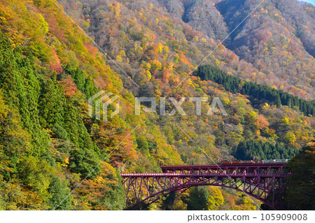 Autumn Kurobe Gorge Railway Shinyamabiko Bridge 105909008