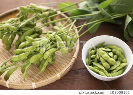 夏季美味的毛豆 夏季美味的毛豆 105909101