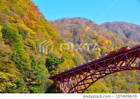 秋天的黑部峽谷鐵道新山彥大橋 秋天的黑部峽谷鐵道新山彥大橋 105909639